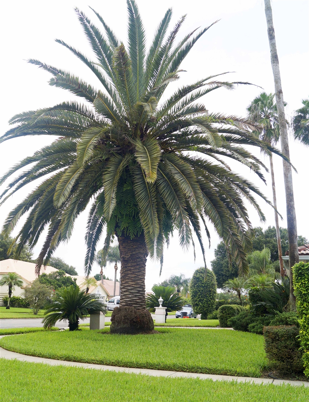 Market Snapshot Grove Pointe, Sarasota Photo Galleries